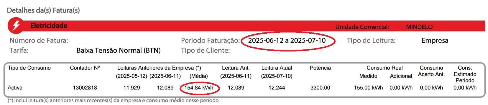 Exemplo de fatura com dados destacados